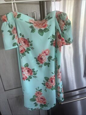 Blu pepper Floral Off-Shoulder Dress in Mint with Pink Roses size large